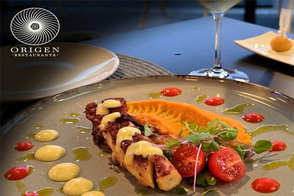 Atlantic Footprint Octopus